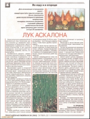 На дачном участке